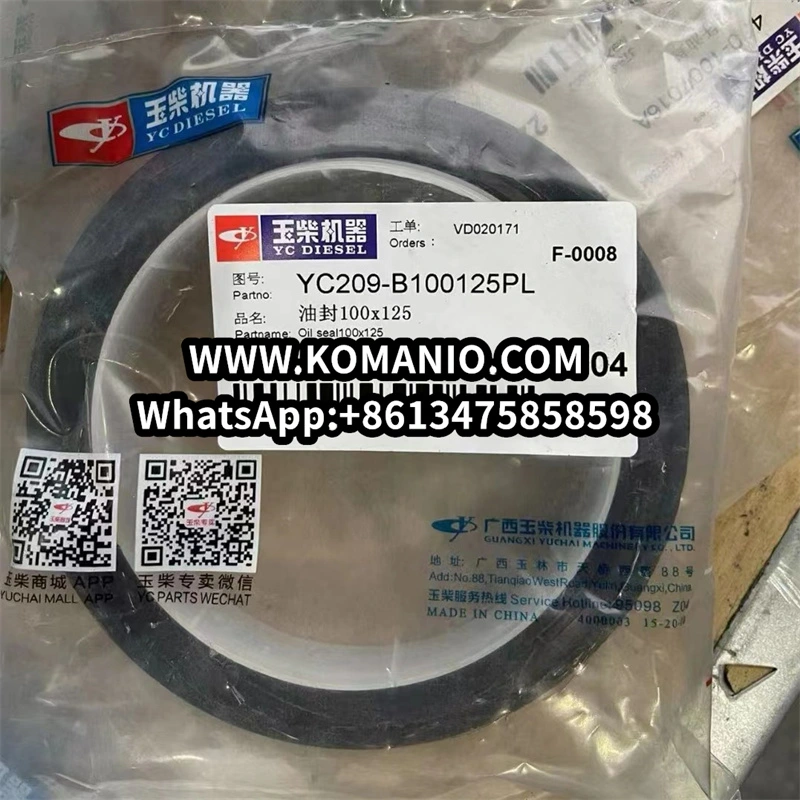 YC206-B100125PL YUCHAI parts DIESEL OIL SEAL